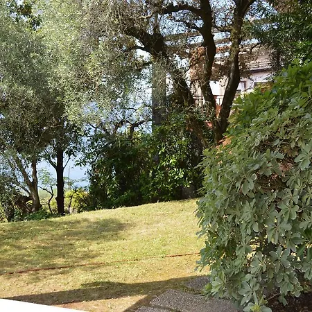 Dei Fiori